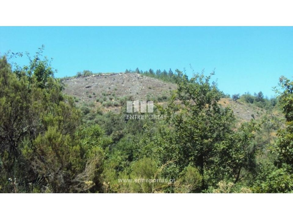 Helårsgrund i Ferreiros de Tendais, Viseu - foto 3