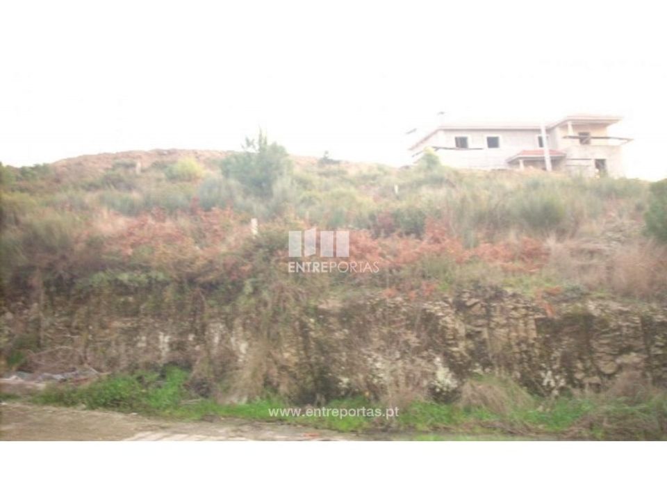 Tomt i Baiao, Porto - bilde 2