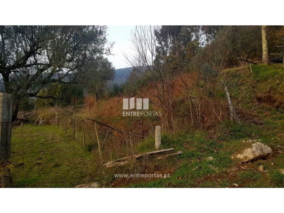 Helårsgrund i Ponte de Lima, Viana do Castelo - foto 5