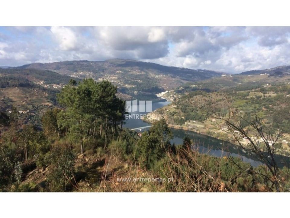 Helårsgrund i Oliveira de Frades, Viseu - foto 1