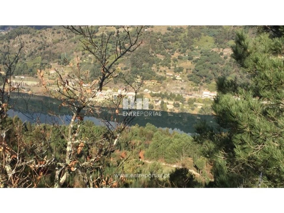 Helårsgrund i Oliveira de Frades, Viseu - foto 3
