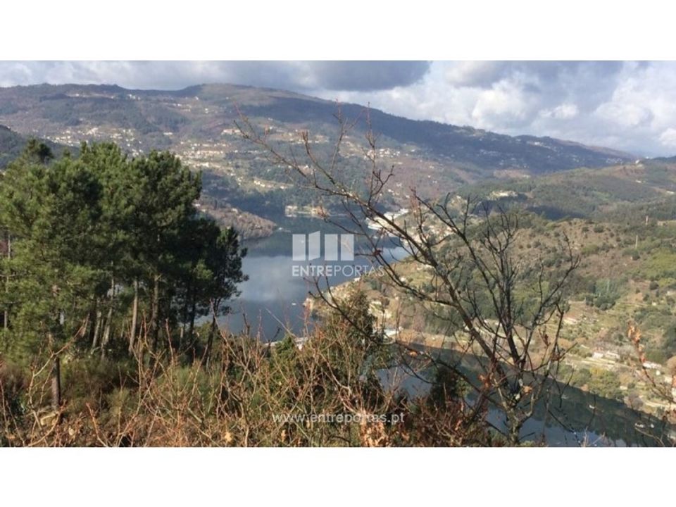 Helårsgrund i Oliveira de Frades, Viseu - foto 5