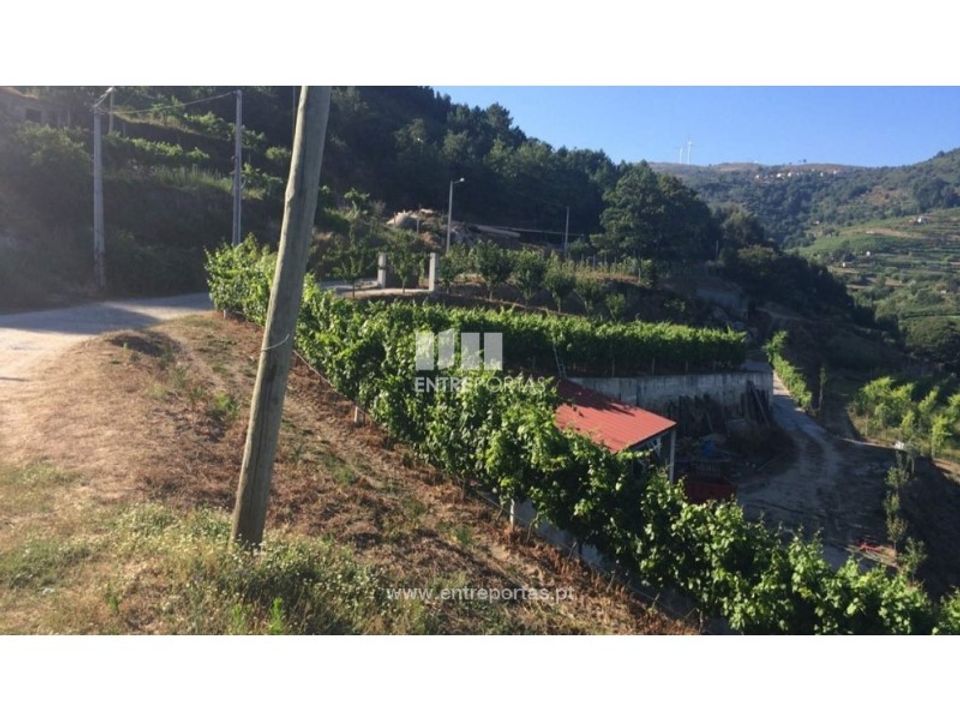 Terreno en Ancede e Ribadouro, Porto - foto 3