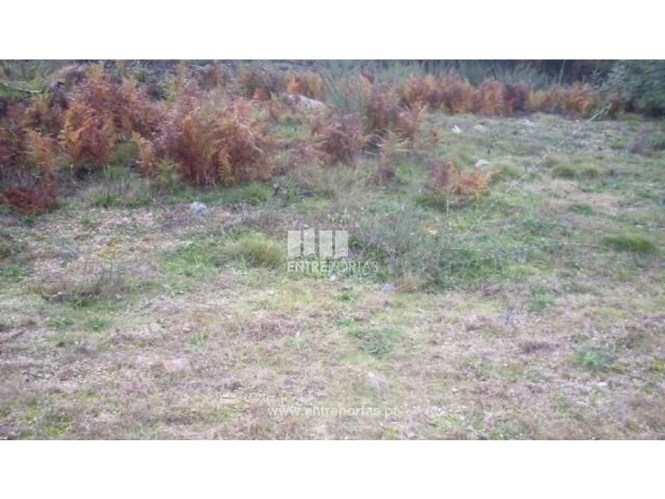 Terra a Grilo, Porto - foto 3