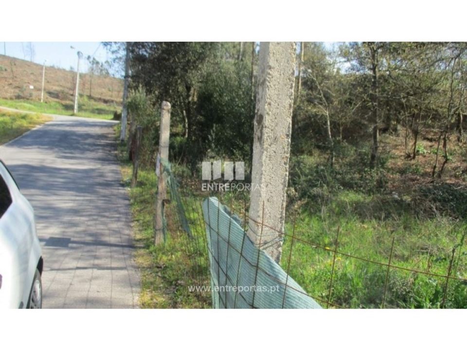 Tomt i Melres e Medas, Porto - bilde 2