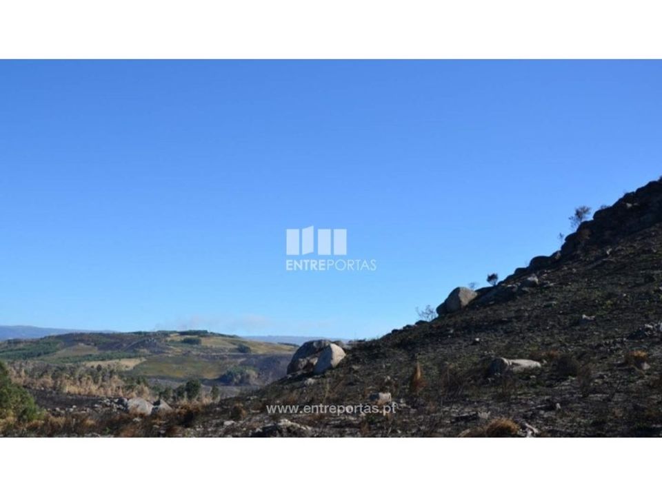 Helårsgrund i Marco de Canaveses, Porto - foto 1