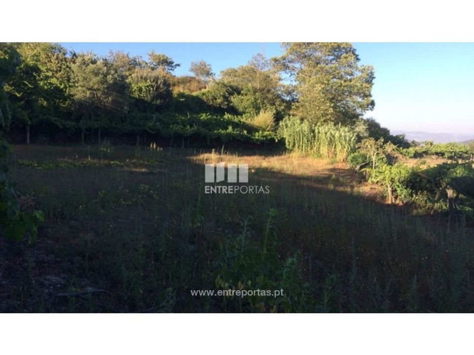 Terreno en Ancede e Ribadouro, Porto - foto 4