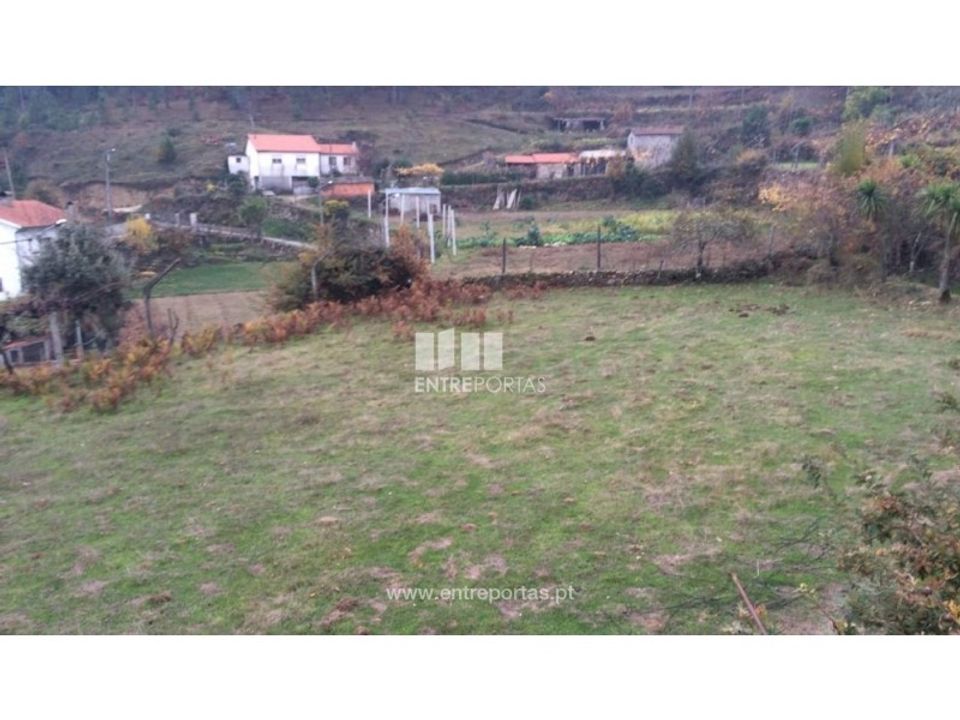 Tomt i Cinfaes, Viseu - bilde 1
