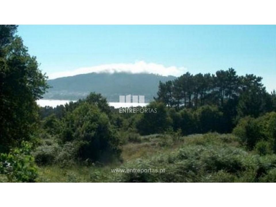 Helårsgrund i Caminha, Viana do Castelo - foto 3