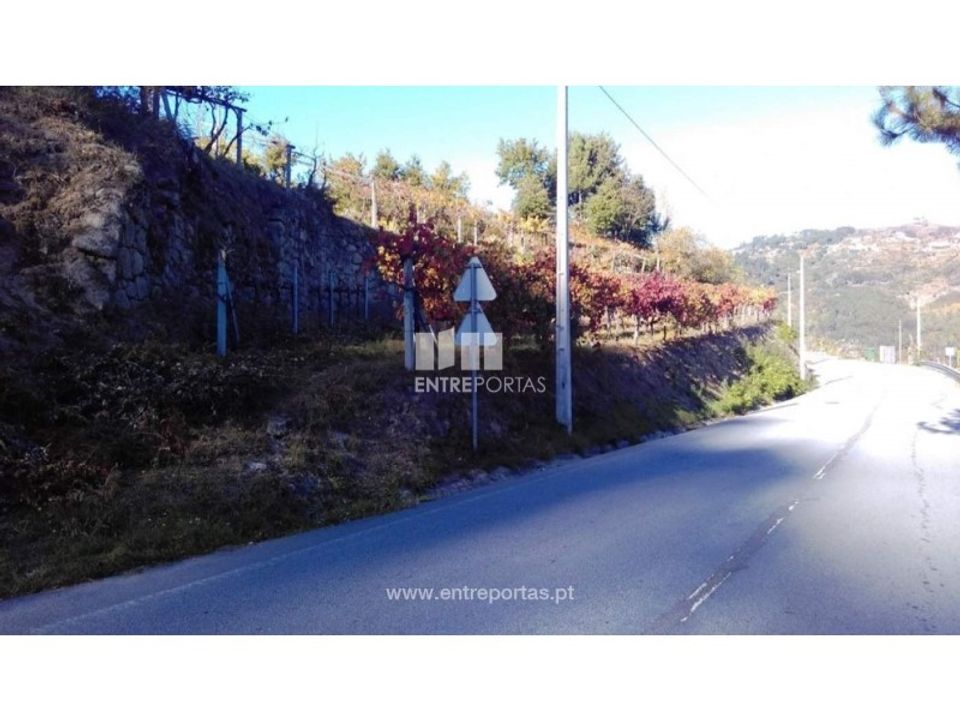 Helårsgrund i Marco de Canaveses, Porto - foto 4
