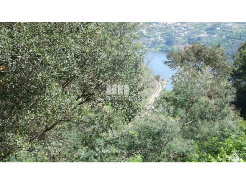 Tomt i Gestaco, Porto - bilde 1