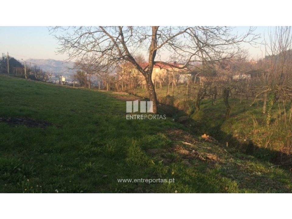 Helårsgrund i Cinfaes, Viseu - foto 4