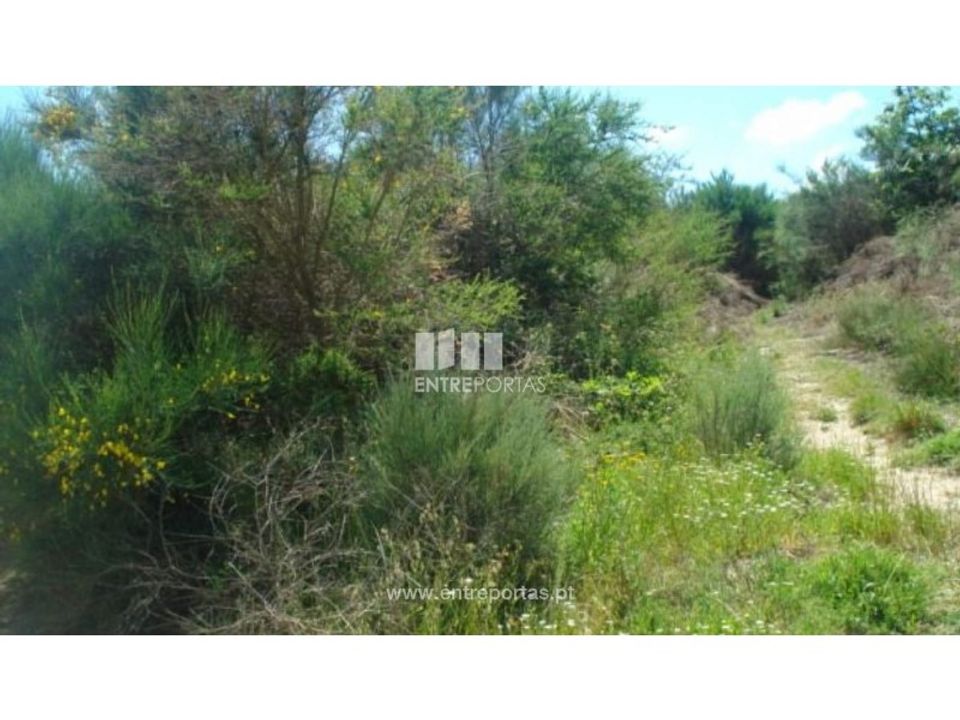 Terreno en Ancede e Ribadouro, Porto - foto 1