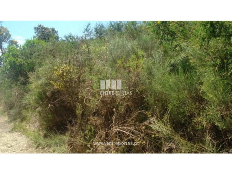 Terreno en Ancede e Ribadouro, Porto - foto 2