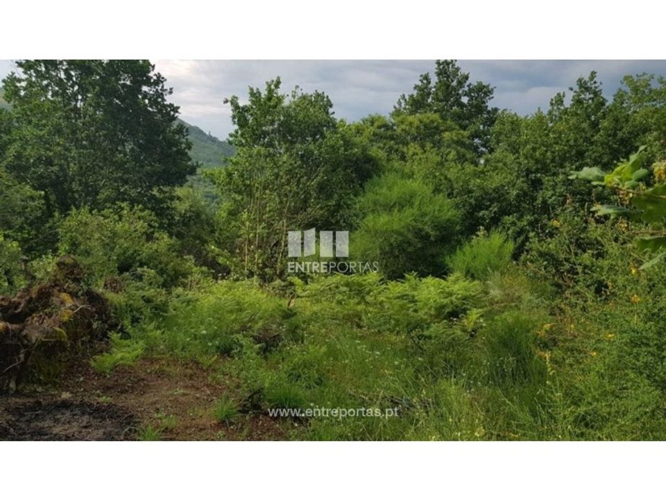 Terreno en Ancede e Ribadouro, Porto - foto 3
