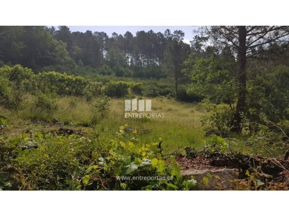 Terreno en Ancede e Ribadouro, Porto - foto 4