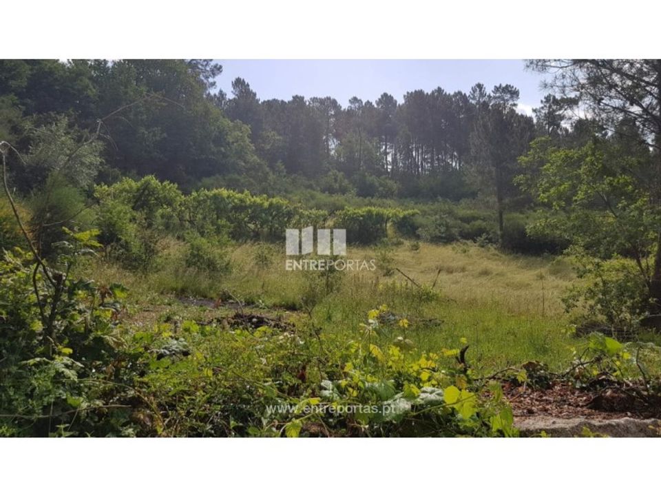 Terreno en Ancede e Ribadouro, Porto - foto 5