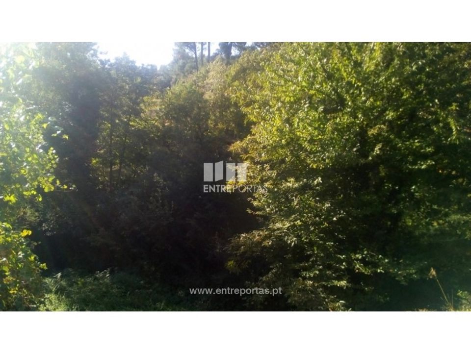 Helårsgrund i Marco de Canaveses, Porto - foto 5