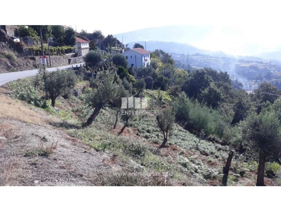 Helårsgrund i Loivos do Monte, Porto - foto 4