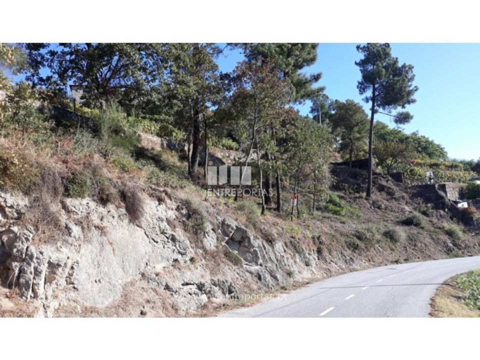 Helårsgrund i Loivos do Monte, Porto - foto 5