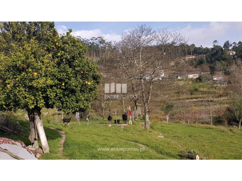 Helårsgrund i Penhalonga e Pacos de Gaiolo, Porto - foto 1