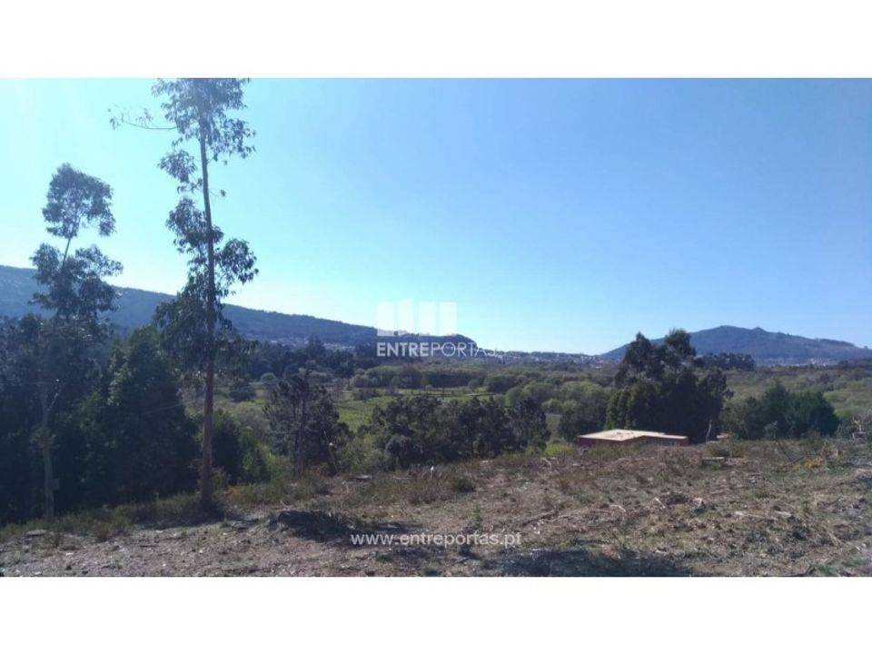 Helårsgrund i Caminha, Viana do Castelo - foto 5