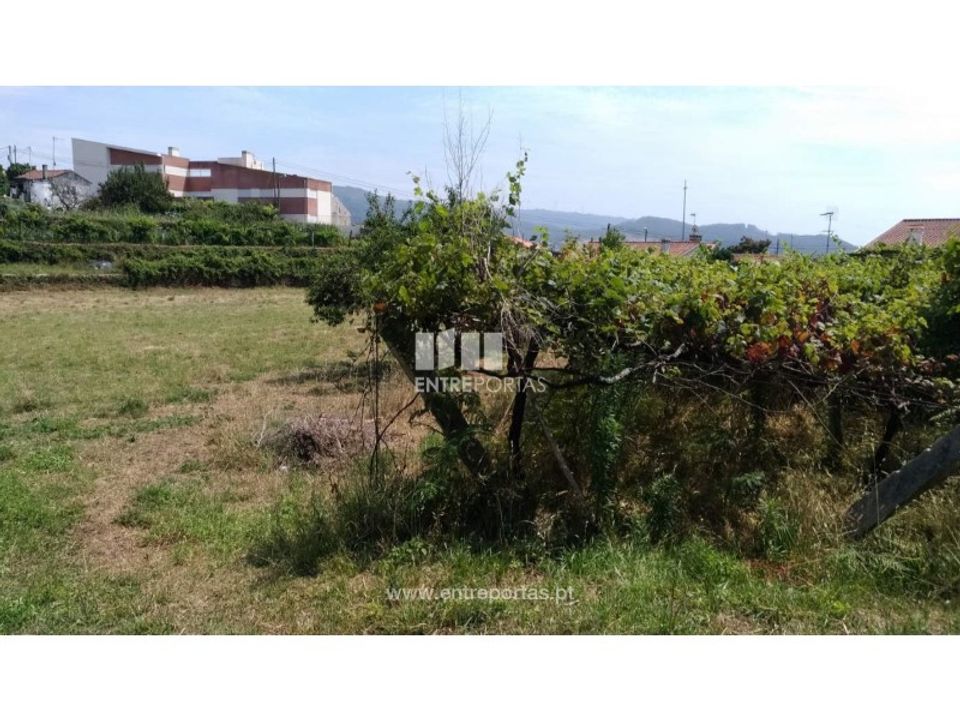 Helårsgrund i Vila Praia de Ancora, Viana do Castelo - foto 3