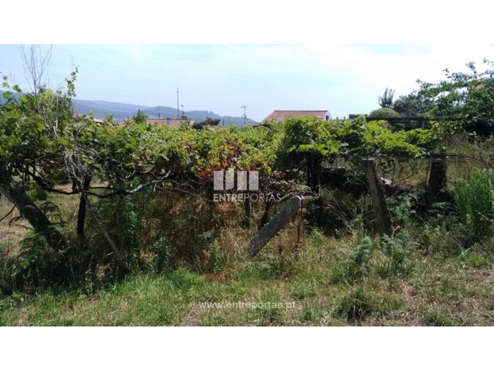Helårsgrund i Vila Praia de Ancora, Viana do Castelo - foto 4