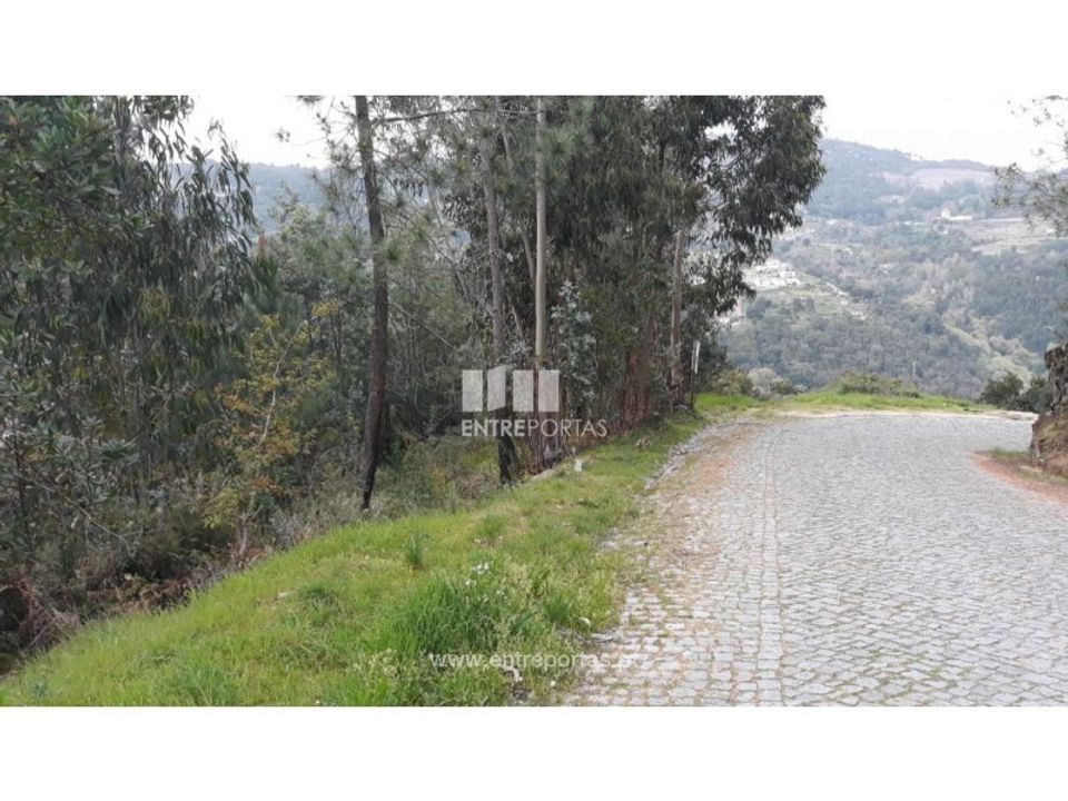 Tomt i Ancede e Ribadouro, Porto - bilde 3