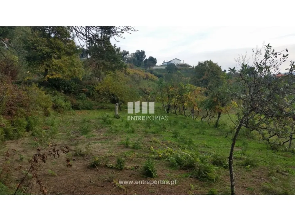 Landejendom i Penhalonga e Pacos de Gaiolo, Porto - foto 1
