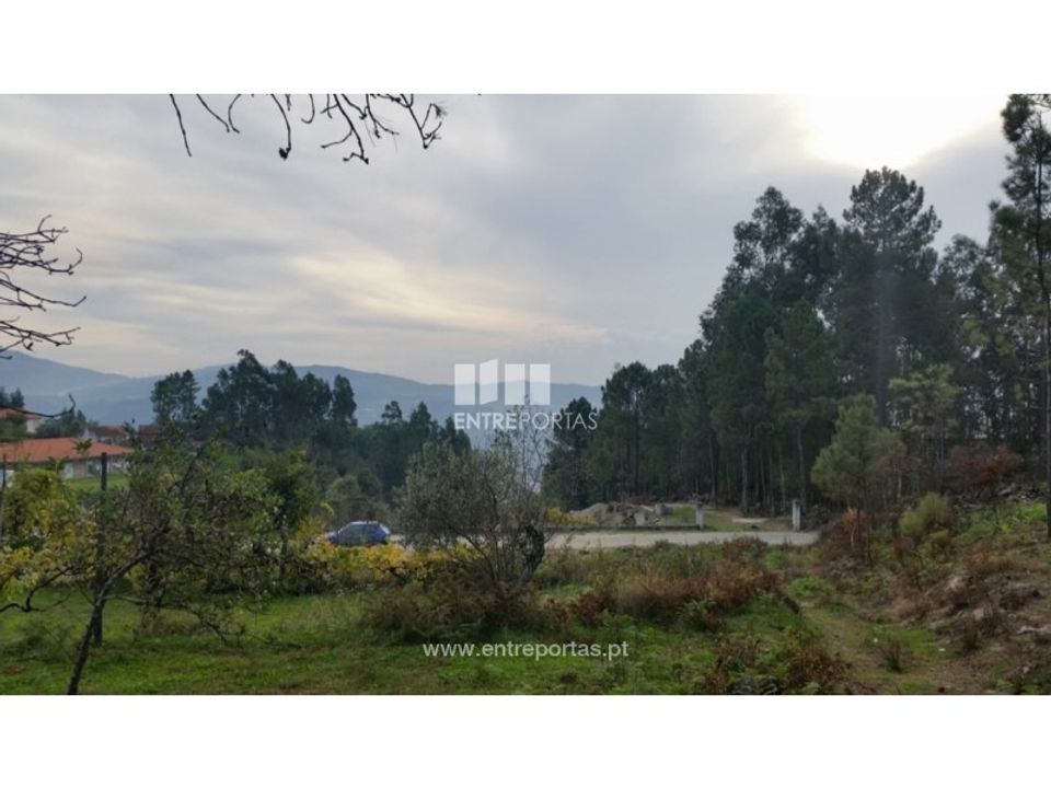 Landejendom i Penhalonga e Pacos de Gaiolo, Porto - foto 3