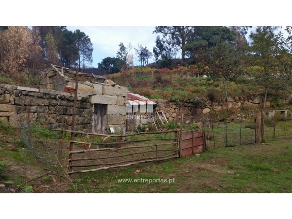 Landejendom i Penhalonga e Pacos de Gaiolo, Porto - foto 4