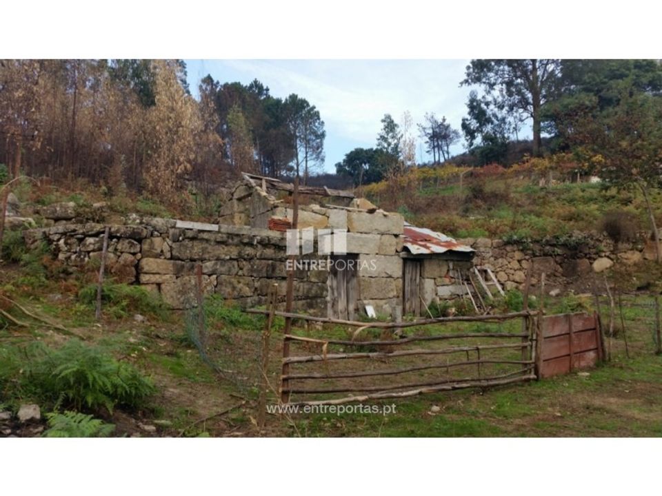 Landejendom i Penhalonga e Pacos de Gaiolo, Porto - foto 5