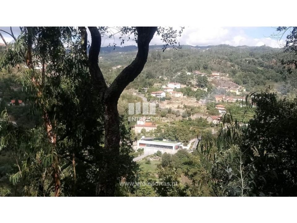 Helårsgrund i Cinfaes, Viseu - foto 2