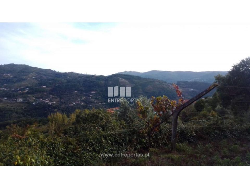 Tomt i Ancede e Ribadouro, Porto - bilde 2