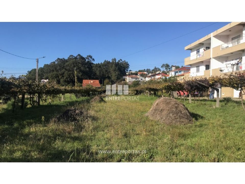 Helårsgrund i Caminha, Viana do Castelo - foto 3