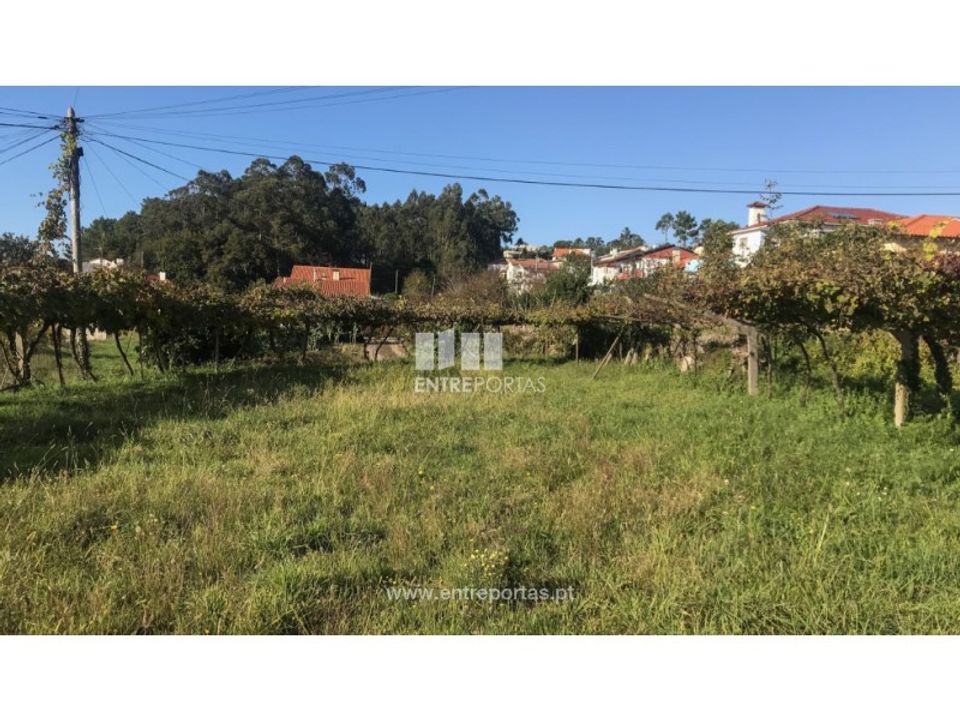 Helårsgrund i Caminha, Viana do Castelo - foto 4