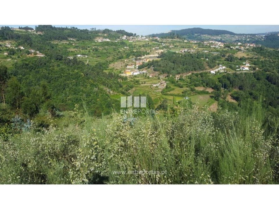 Helårsgrund i Tarouquela, Viseu - foto 5