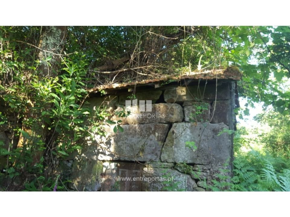 Helårsgrund i Cinfaes, Viseu - foto 2