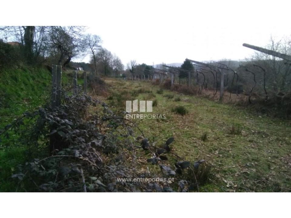 Helårsgrund i Candemil e Gondar, Viana do Castelo - foto 1
