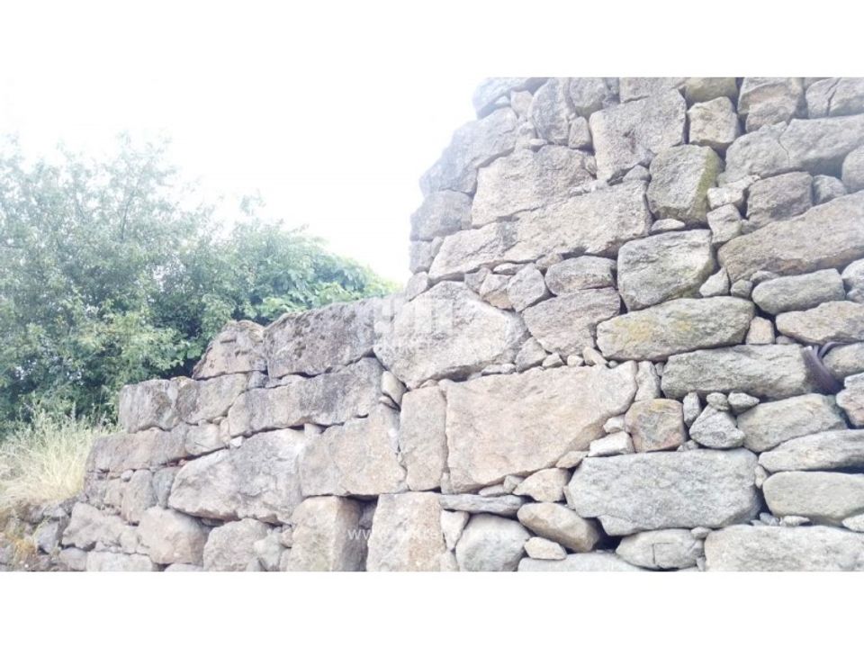 Helårsgrund i Tarouquela, Viseu - foto 5
