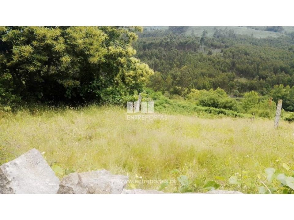Helårsgrund i Cinfaes, Viseu - foto 2