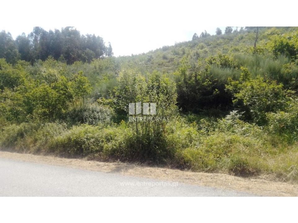 Helårsgrund i Tarouquela, Viseu - foto 1