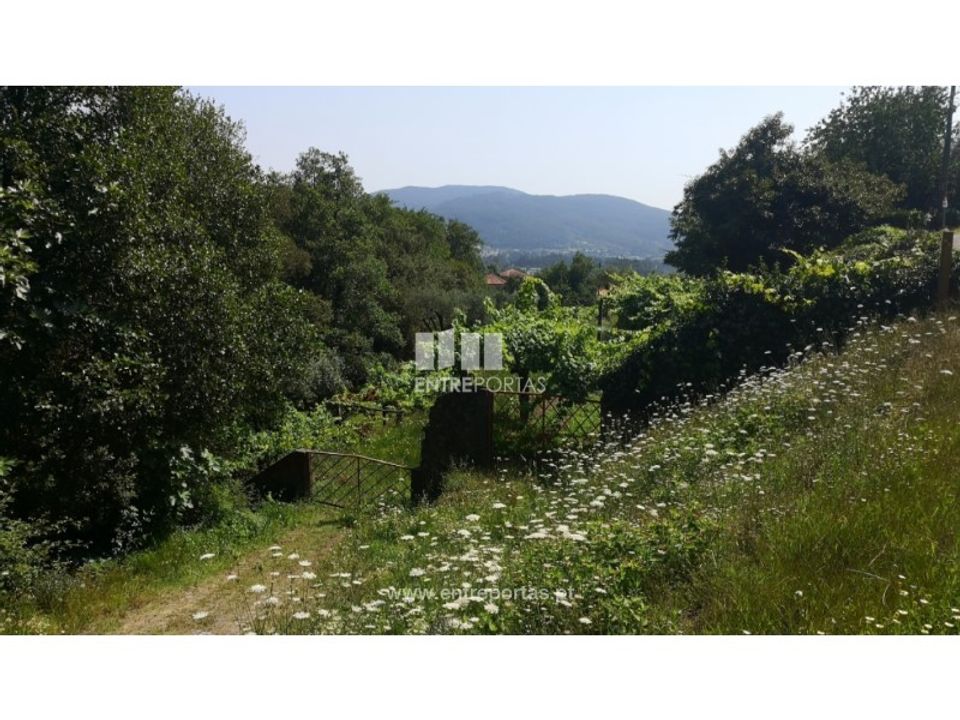 Helårsgrund i Barroselas, Viana do Castelo - foto 3