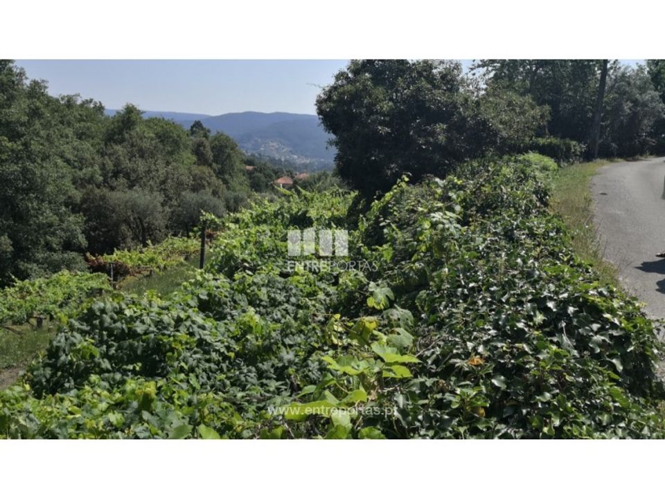 Helårsgrund i Barroselas, Viana do Castelo - foto 5