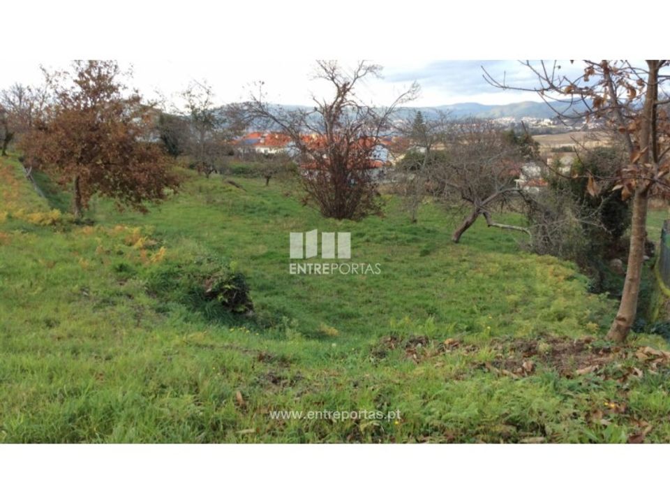 Helårsgrund i Caminha, Viana do Castelo - foto 1