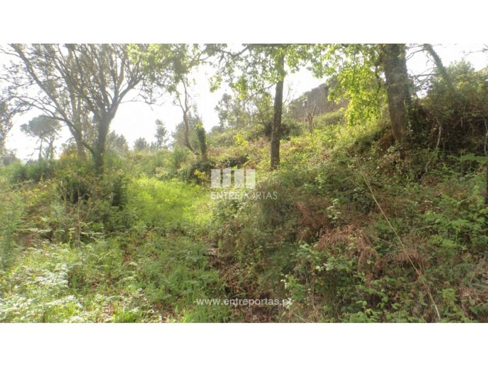 Terreno en Venade e Azevedo, Viana do Castelo - foto 4