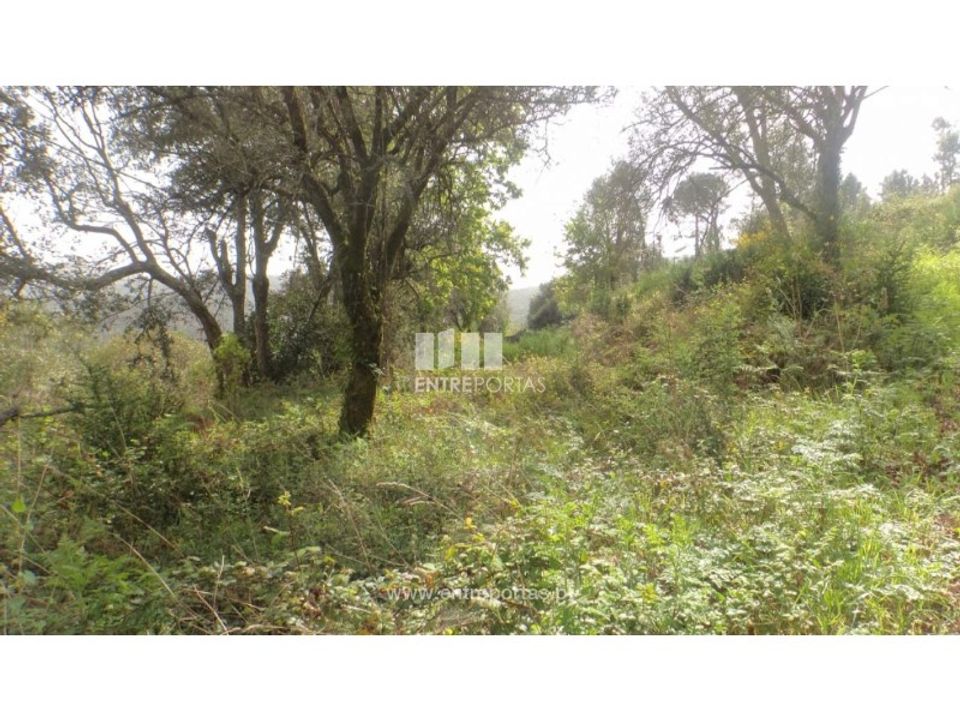 Terreno en Venade e Azevedo, Viana do Castelo - foto 5