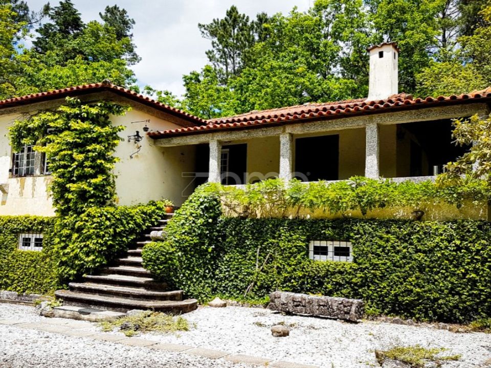 Farm i Sao Torcato, Braga - foto 2