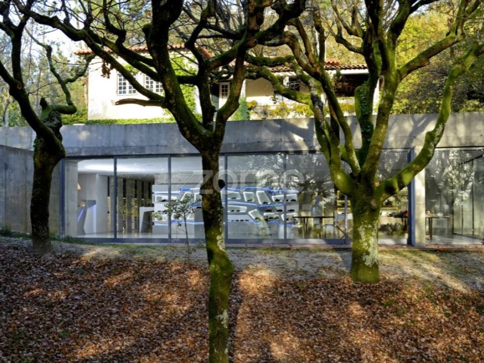 Farm i Sao Torcato, Braga - foto 4